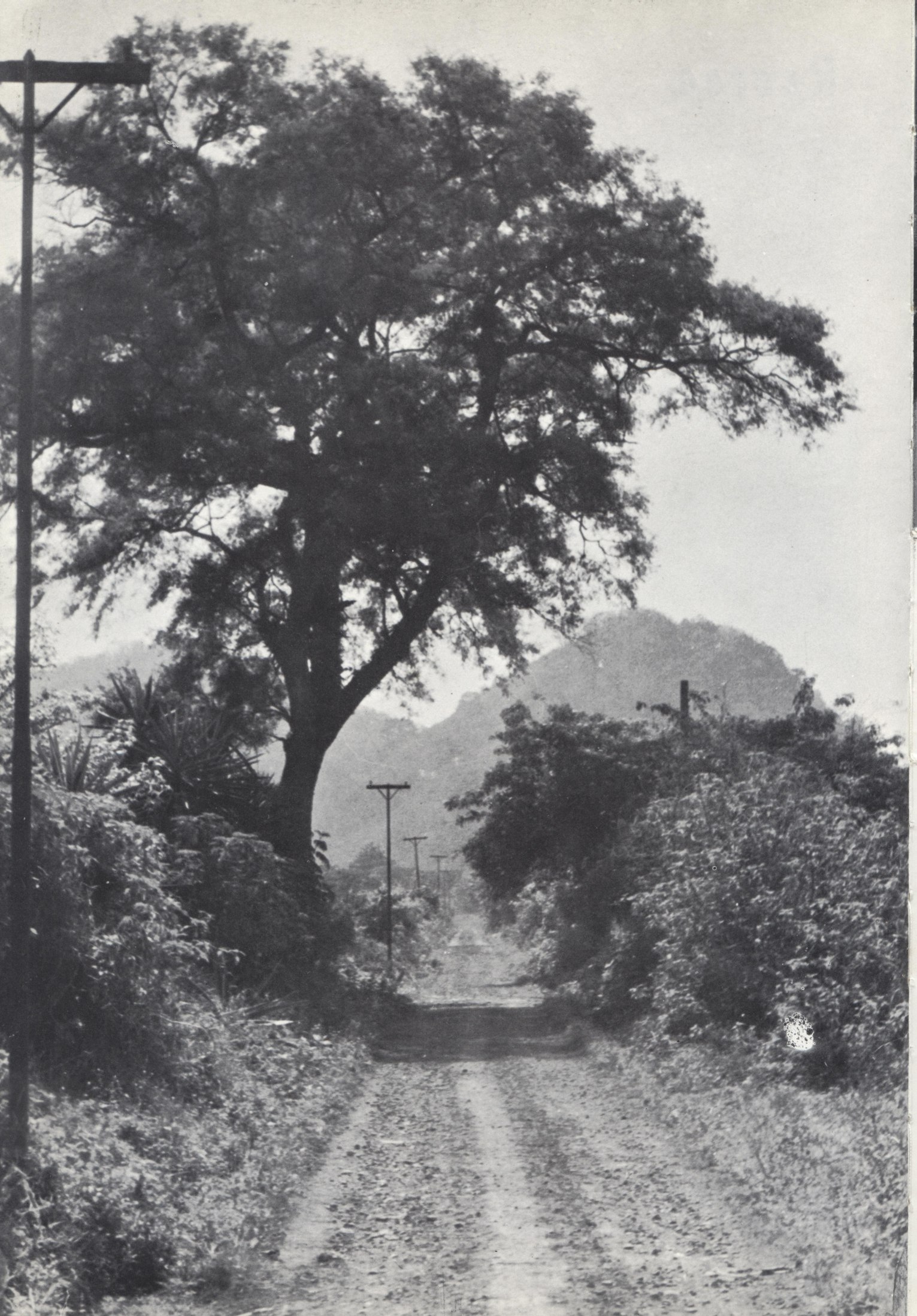 anuario1965 044.jpg